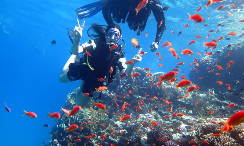 SHARM EL SHEIKH TURU 3 GECE 4 GÜN HER ÇARŞAMBA HAREKET