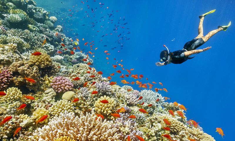 ANTALYA ÇIKIŞLI RAMAZAN BAYRAMINA ÖZEL SHARM EL SHEİKH TURU 5 GECE 6 GÜN